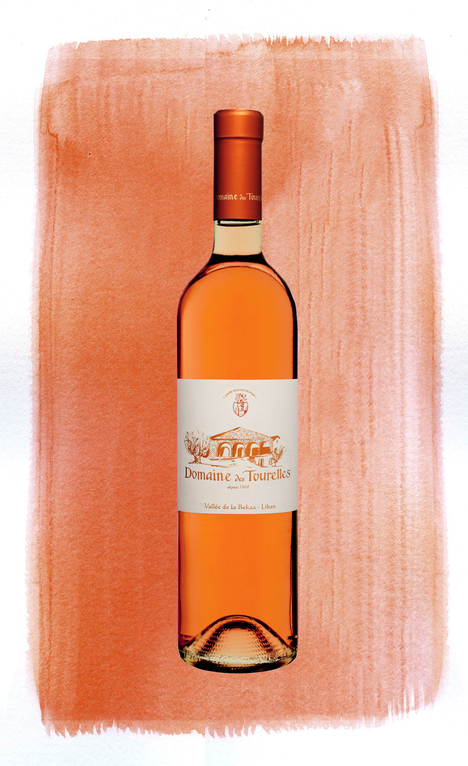 FOR WEB- MOOD ROSE DDT.jpg__PID:c2bd7d14-4f90-4d84-9282-08f7227b9287