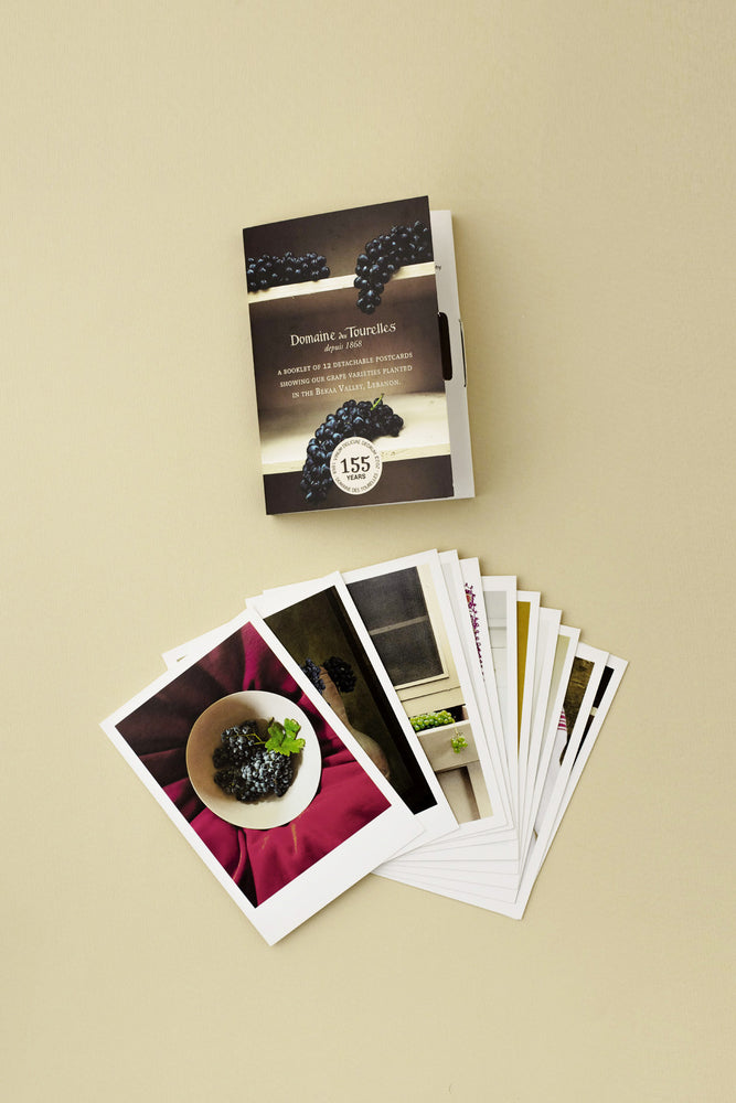 The Domaine des Tourelles 12 Postcards Booklet