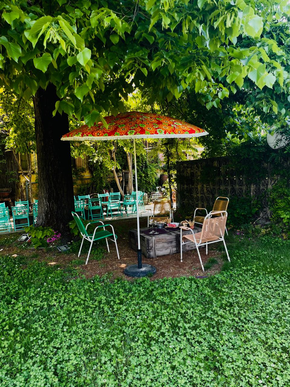 ddt wine tour 5.jpeg__PID:442f9821-c4da-4b85-9713-63a56ec4aefa