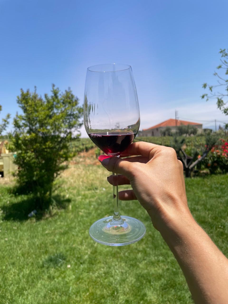 ddt wine tour 6.jpeg__PID:65427999-0010-442f-9821-c4da6b859713